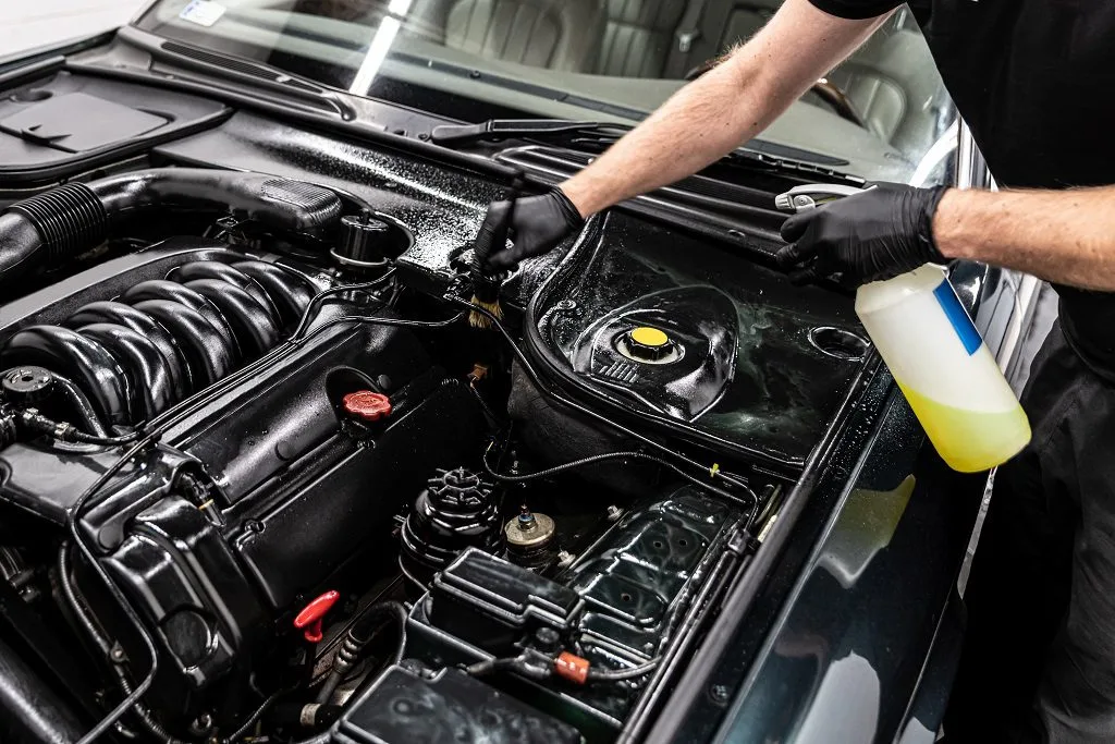 Engine Detailing